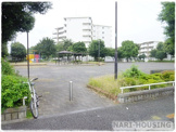 仲町公園
