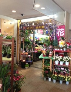 西五反田１ 花屋 リビオ１f情報ページ 五反田の賃貸情報はアドバンスホーム