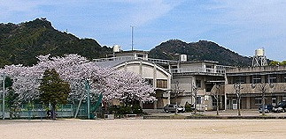 千代小学校の画像1