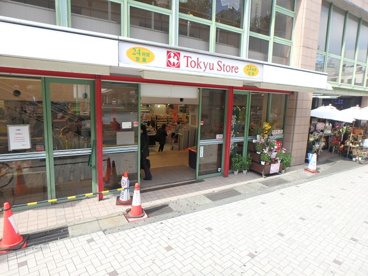 東急ストア溝ノ口店の画像1