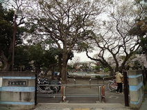 目黒区立清水池公園