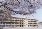 横浜市立　瀬谷さくら小学校