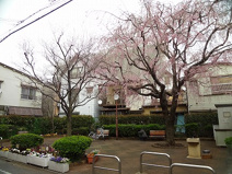 目黒区立向原西街かど公園
