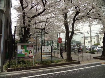 区立荏三公園の画像1