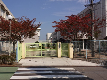 神戸市立　星和台小学校の画像2