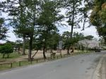 琴弾公園の画像2