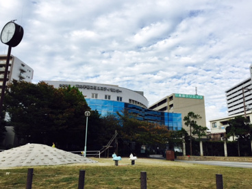 亥の子谷公園の画像4