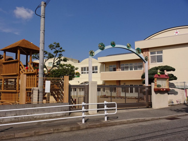 五葉幼稚園の画像5