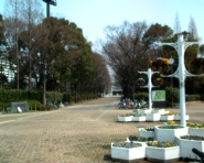 記念公園  の画像1