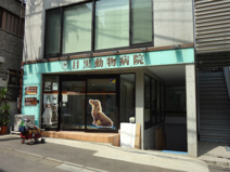 目黒動物病院