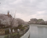 蓬川緑地