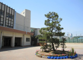 藤沢市立八松小学校