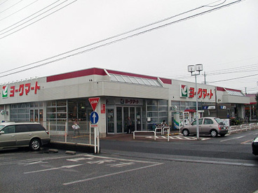 ヨークマート野田川間南店情報ページ 取手エリアの賃貸 アパートマンション館
