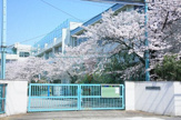 大田区立都南小学校