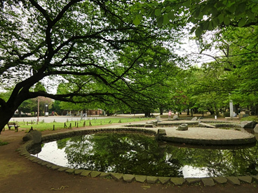 板橋区平和公園の画像1
