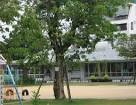 松川幼稚園の画像1