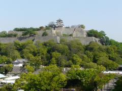 亀山公園の画像1