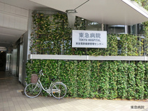 東急病院