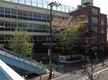 目黒区立中目黒小学校