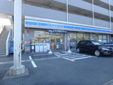 ローソン 高津野川