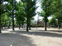 田向公園
