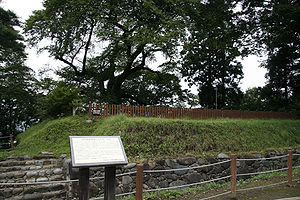 沼田城跡の画像1