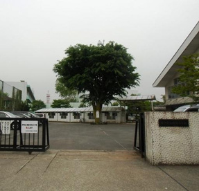 所沢市立明峰小学校の画像1