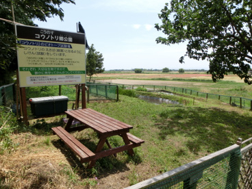 川幅日本一の画像5