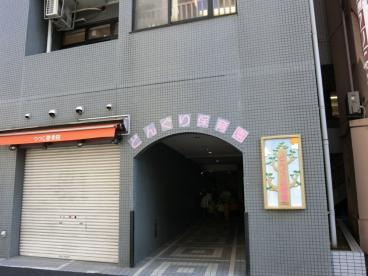 どんぐり保育園の画像1