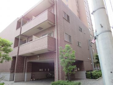 根津保育園の画像1