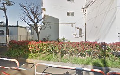 東花畑保育園の画像1