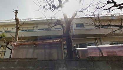 岩小白梅クラブの画像1