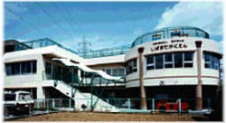 柴又学園の画像1