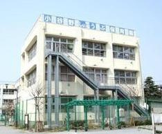 小谷野しょうぶ保育園の画像1
