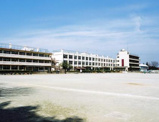 小学校 入間市立東金子小学校