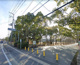 稲美中央公園の画像