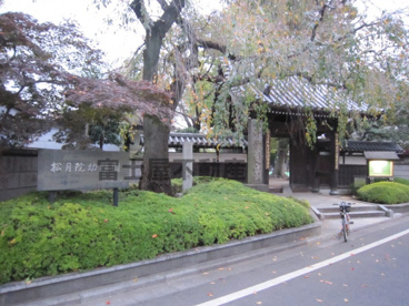 松月院幼稚園の画像1