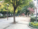 公園 玉川上水旧水路緑道