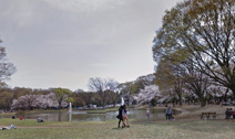 公園 代々木公園