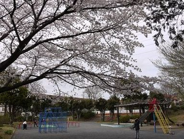 梅が丘第二公園の画像3
