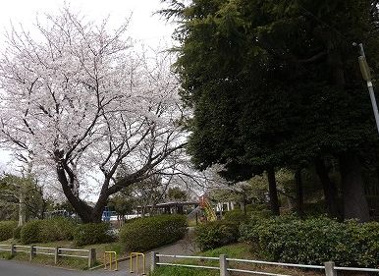 梅が丘第二公園の画像4
