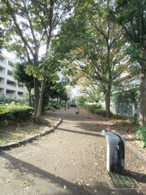 笹の原公園の画像1