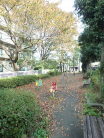 笹の原公園の画像2