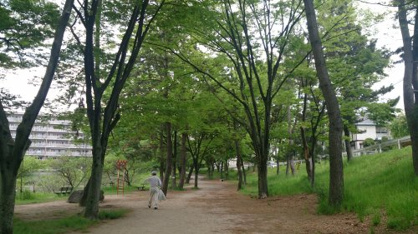 桃山公園の画像2
