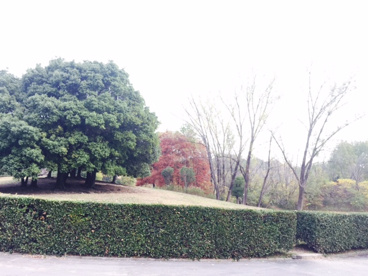 千里北公園の画像1