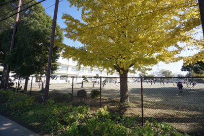 千葉市立誉田小学校の画像3