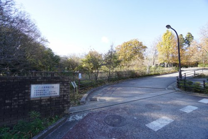 千葉明徳短期大学附属幼稚園の画像1