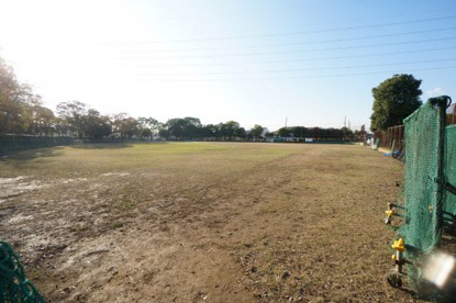 大岬公園の画像3