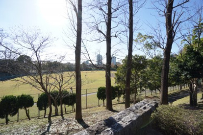 有吉公園の画像3