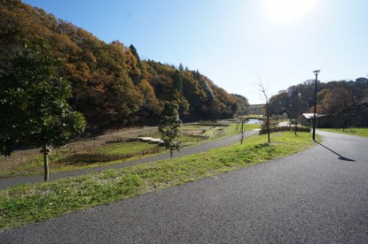うるいど自然公園の画像3